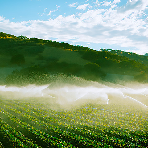 El suministro de agua es un desafío complejo que implica enormes distancias desde el origen del agua hasta los usuarios agrícolas finales. Las tecnologías de Mitsubishi Electric ofrecen soluciones de automatización que suministran agua donde y cuando se necesitan en las cantidades correctas, con pérdidas mínimas.